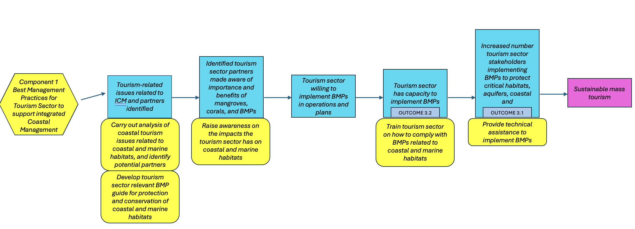 steps in the stakeholder engagement and SEP process