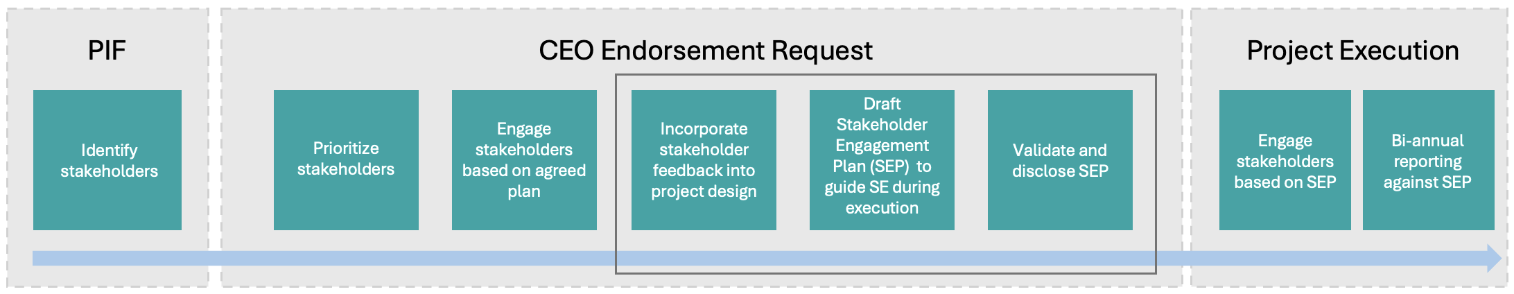 steps in the stakeholder engagement and SEP process