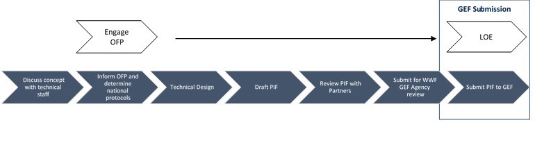 OFP timeline