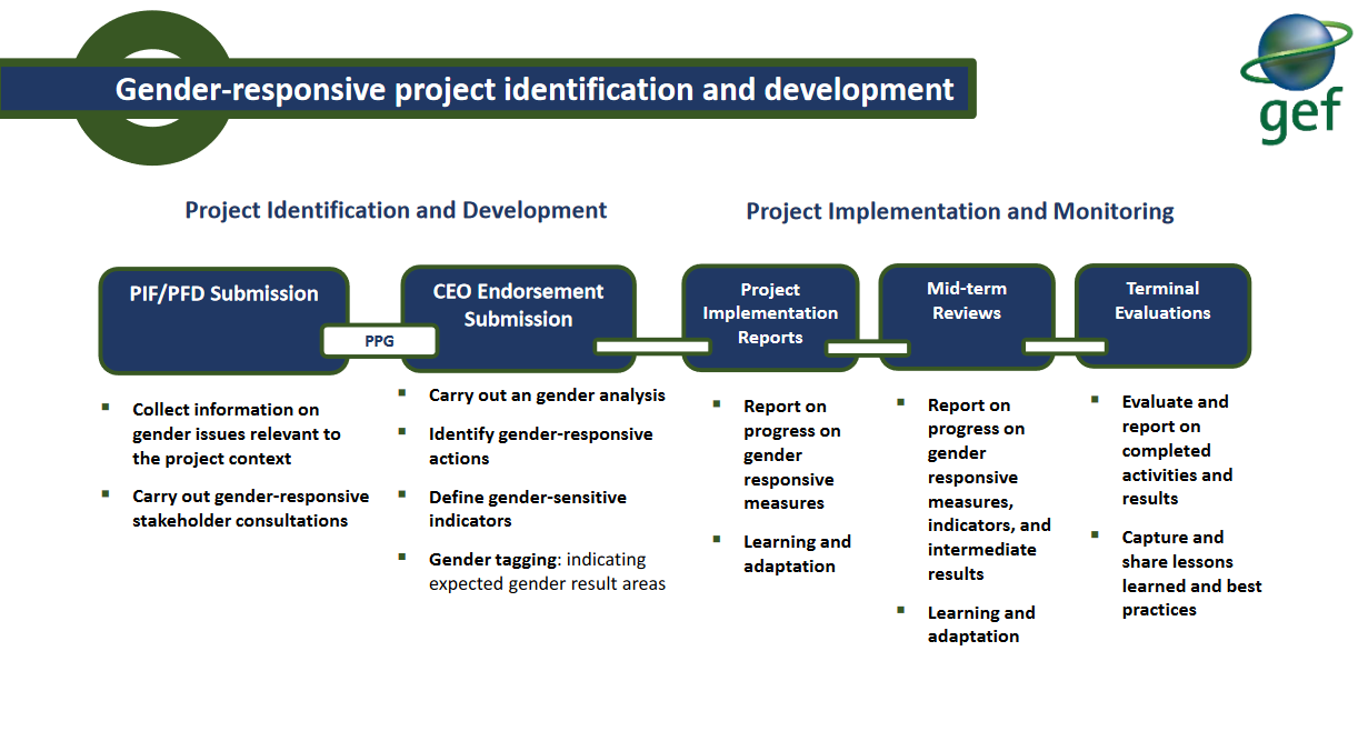 Gender Requirements GEF cycle