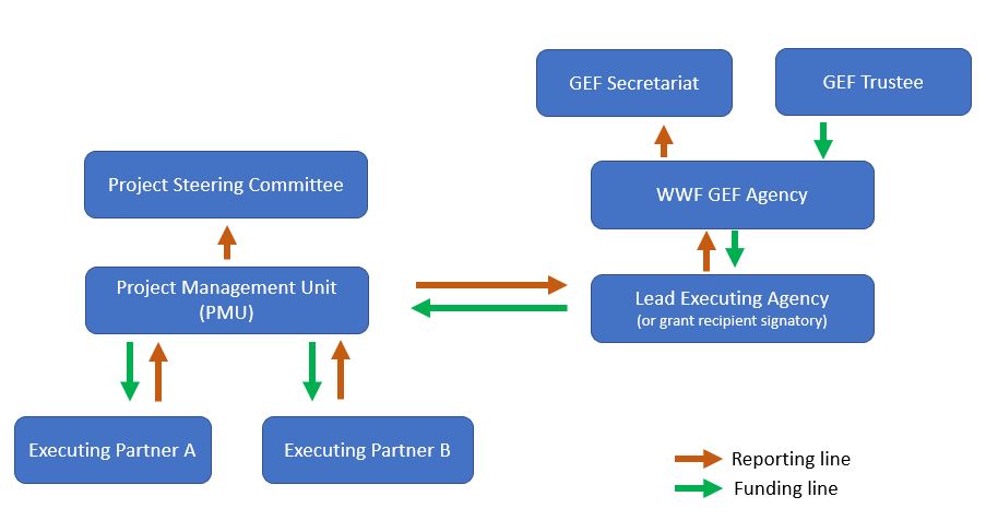 Governance Structure