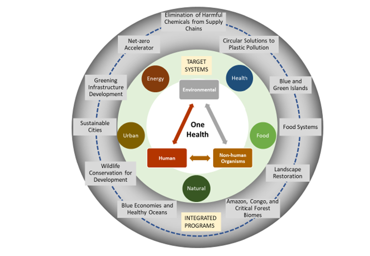 Focal Areas | WWW gef