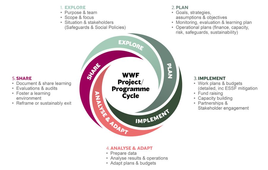 project cycle