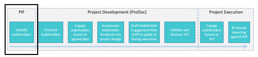 steps in the stakeholder engagement and SEP process