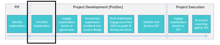 steps in the stakeholder engagement and SEP process