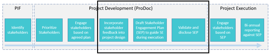 steps in the stakeholder engagement and SEP process